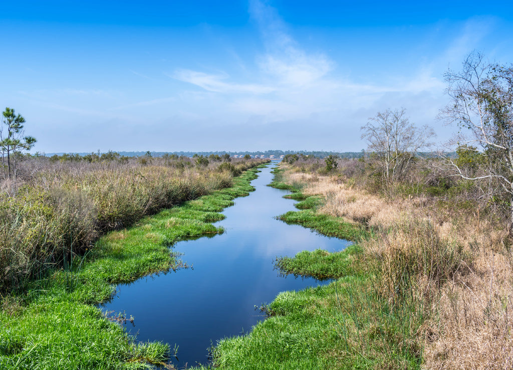 A narrow stream of water in Gulf Shores, Alabama