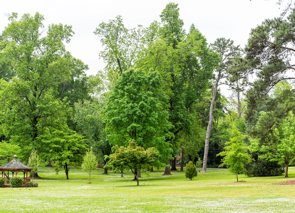 Green park in USA during spring in Alabama southern city during sunny day with large wooden gazebo, nobody