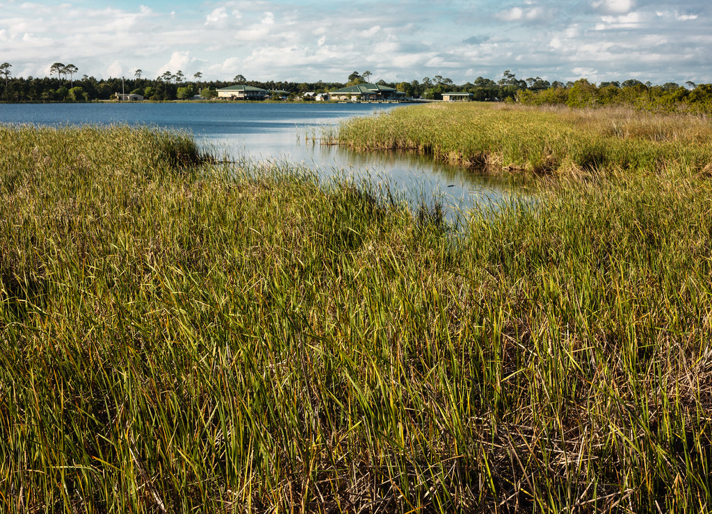 Middle Lake, at Gulf State Park, Gulf Shores, Alabama
