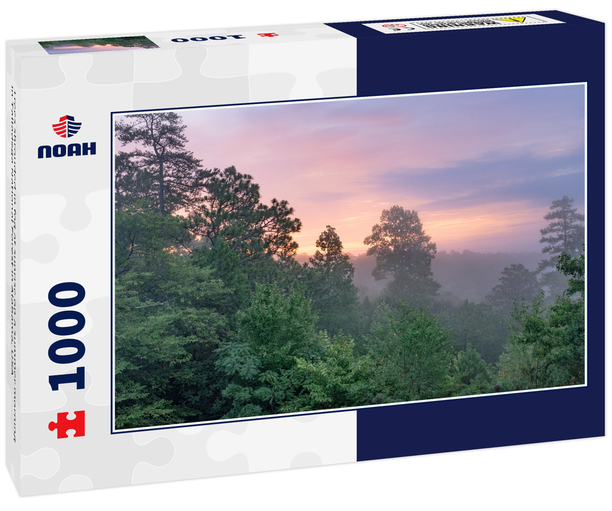 Trees shrouded in fog at sunrise on a summer morning in Talladega National Forest in Alabama, USA