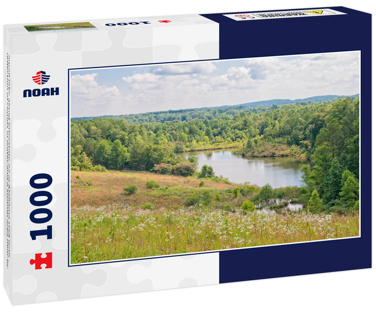 Small lake along Interstate 22 in Alabama USA with reflection of clouds in water and a swamp area near by