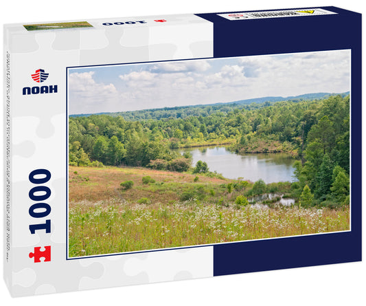 Small lake along Interstate 22 in Alabama USA with reflection of clouds in water and a swamp area near by