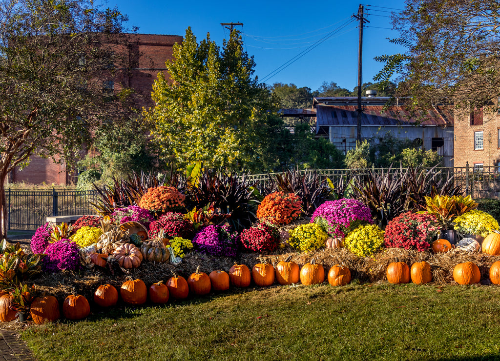 Fall display in Prattville, Alabama