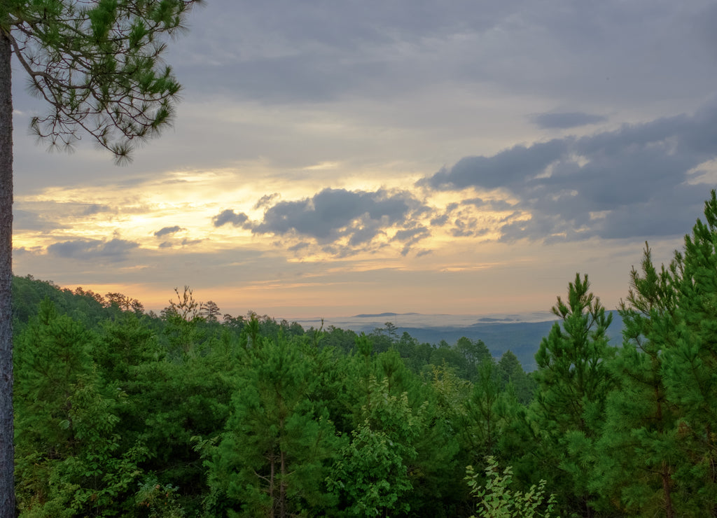 A post-sunrise look over the tops of trees in the Talladega National Forest into a valley near Heflin, Alabama, USA with foggy hills in the distance