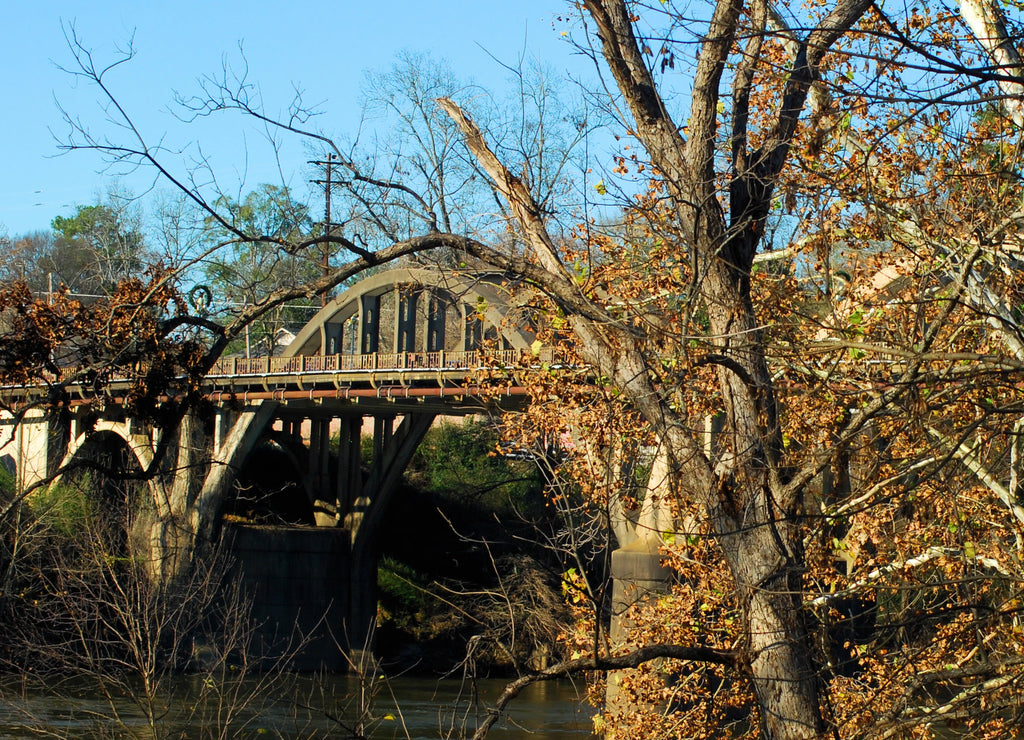 Bridge in the Trees / The Bibb Graves Bridge in Wetumpka, Alabama