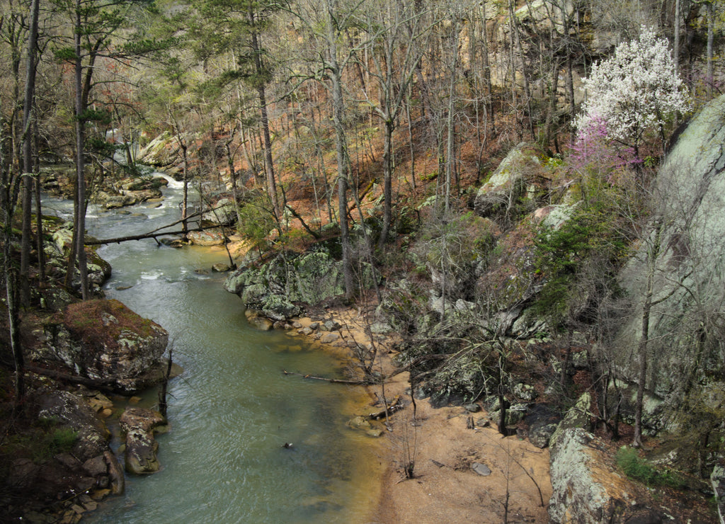 The gorge and creek during late winter below Noccalula Falls in Gadsden, Alabama, USA