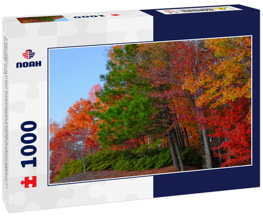 Fall colors in trees and plants shortly before sunset on a hillside at Barber Motorsports Park in Birmingham, Alabama, USA