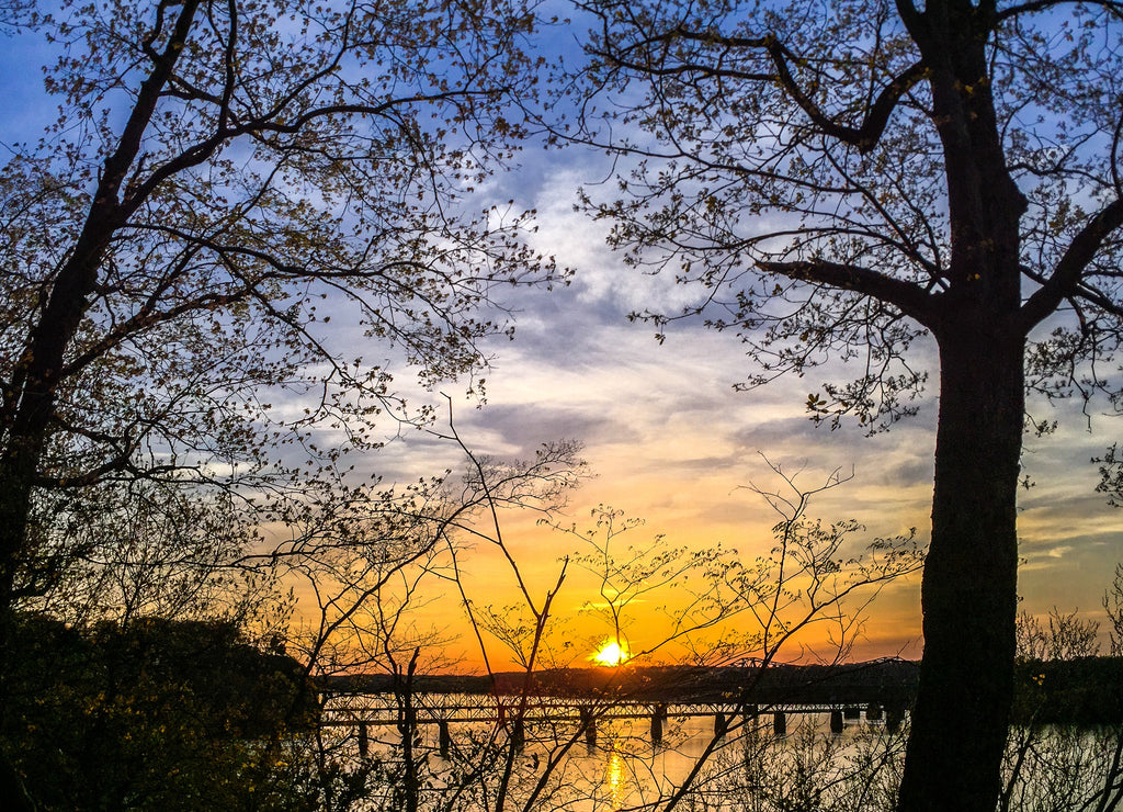 Sunset from the woods above the Tennessee River in Florence Alabama