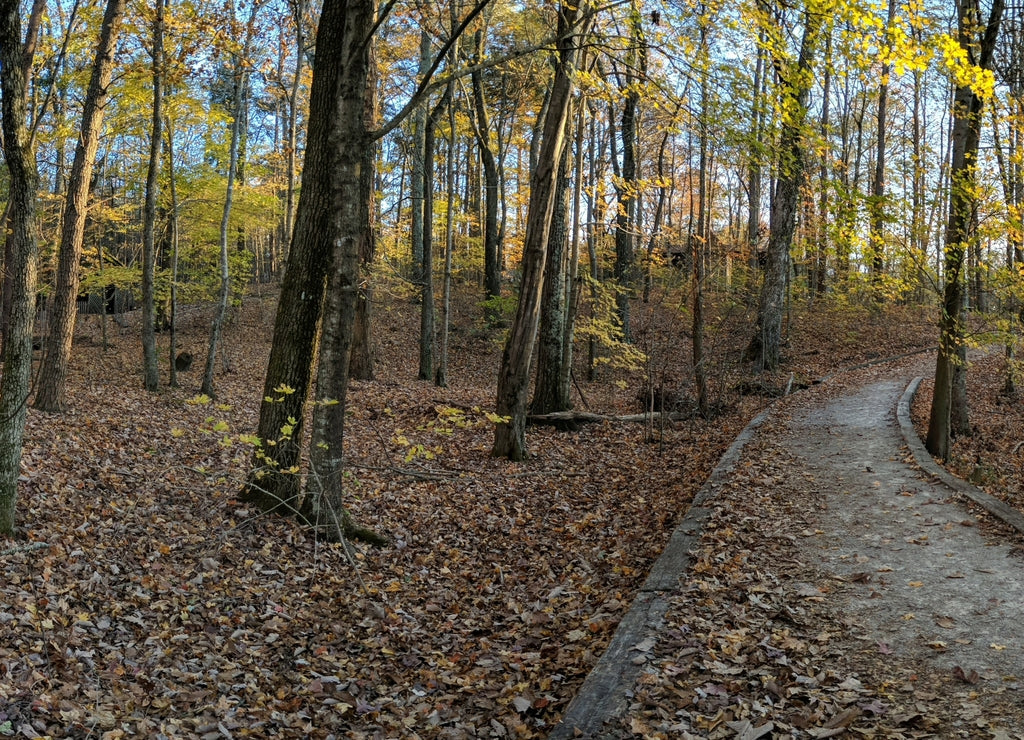 Madison County Nature Trail of Green Mountain, Huntsville, Alabama