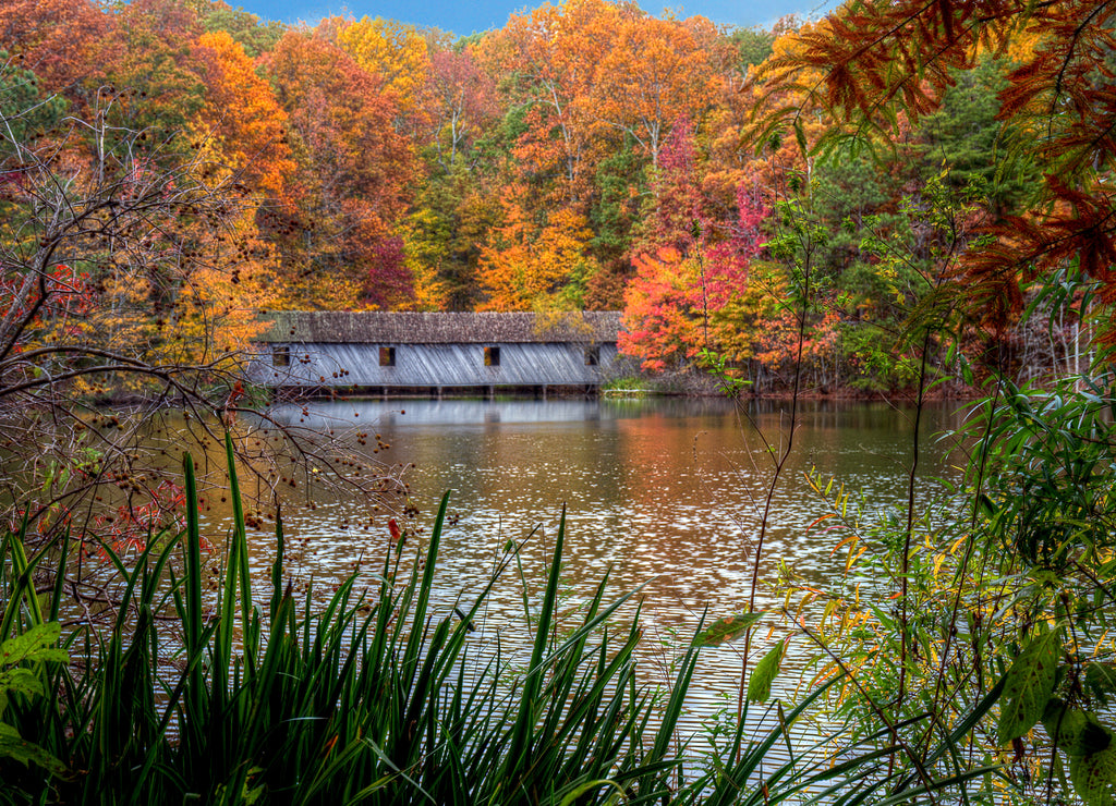 Madison County Hiking Trails Alabama