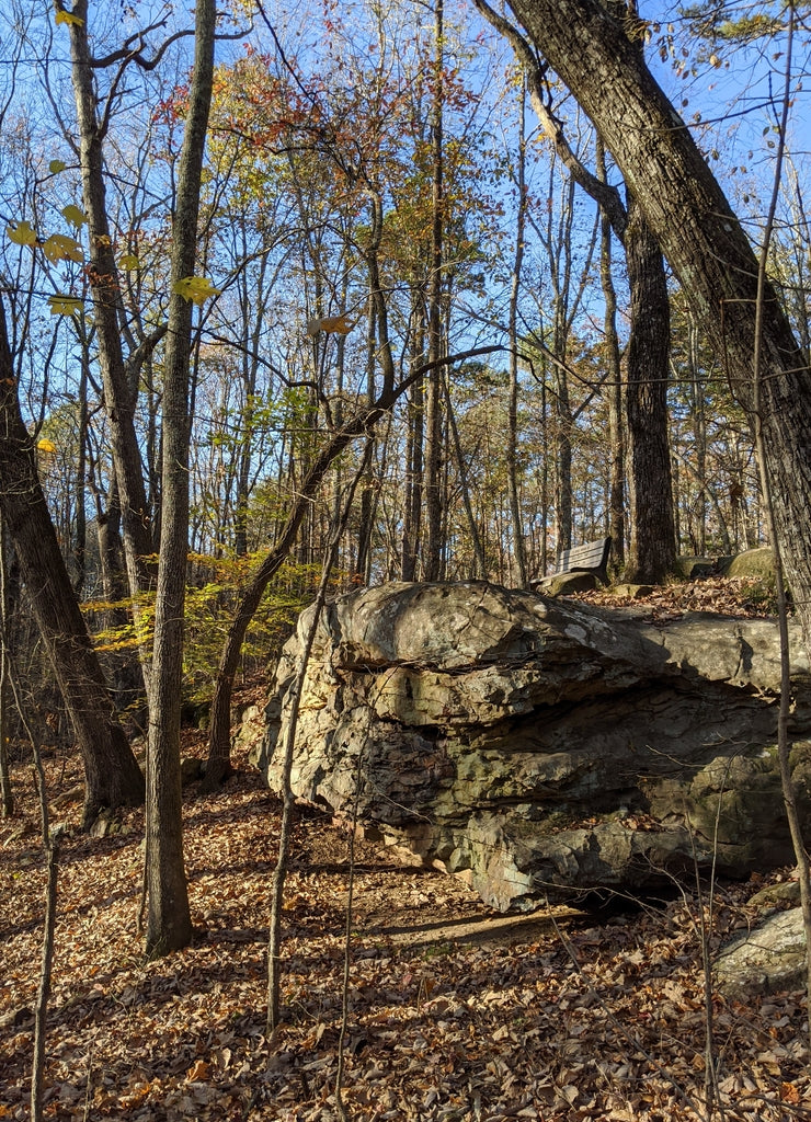 Madison County Nature Trail of Green Mountain, Huntsville, Alabama