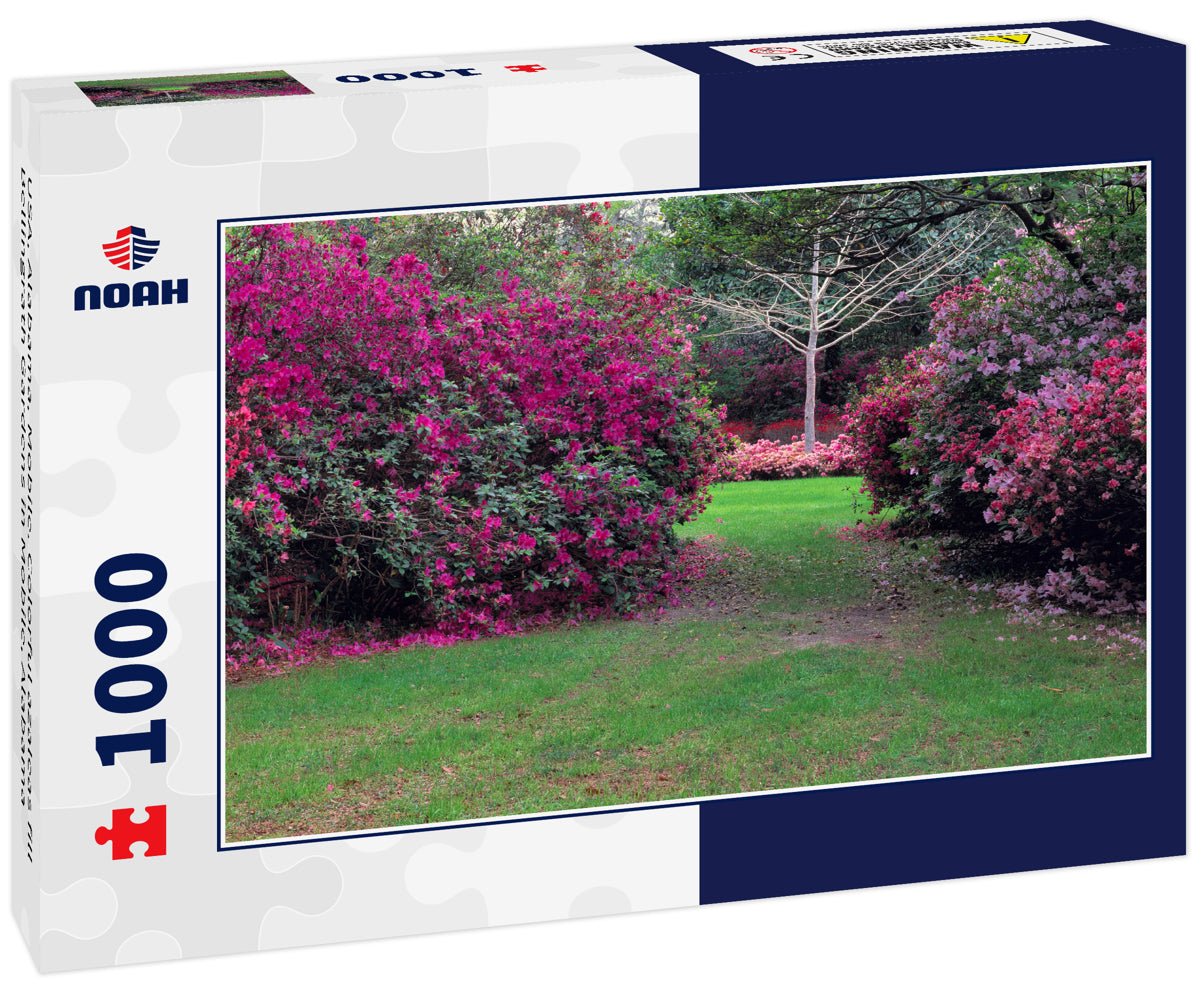 USA, Alabama, Mobile. Colorful azaleas fill Bellingrath Gardens in Mobile, Alabama