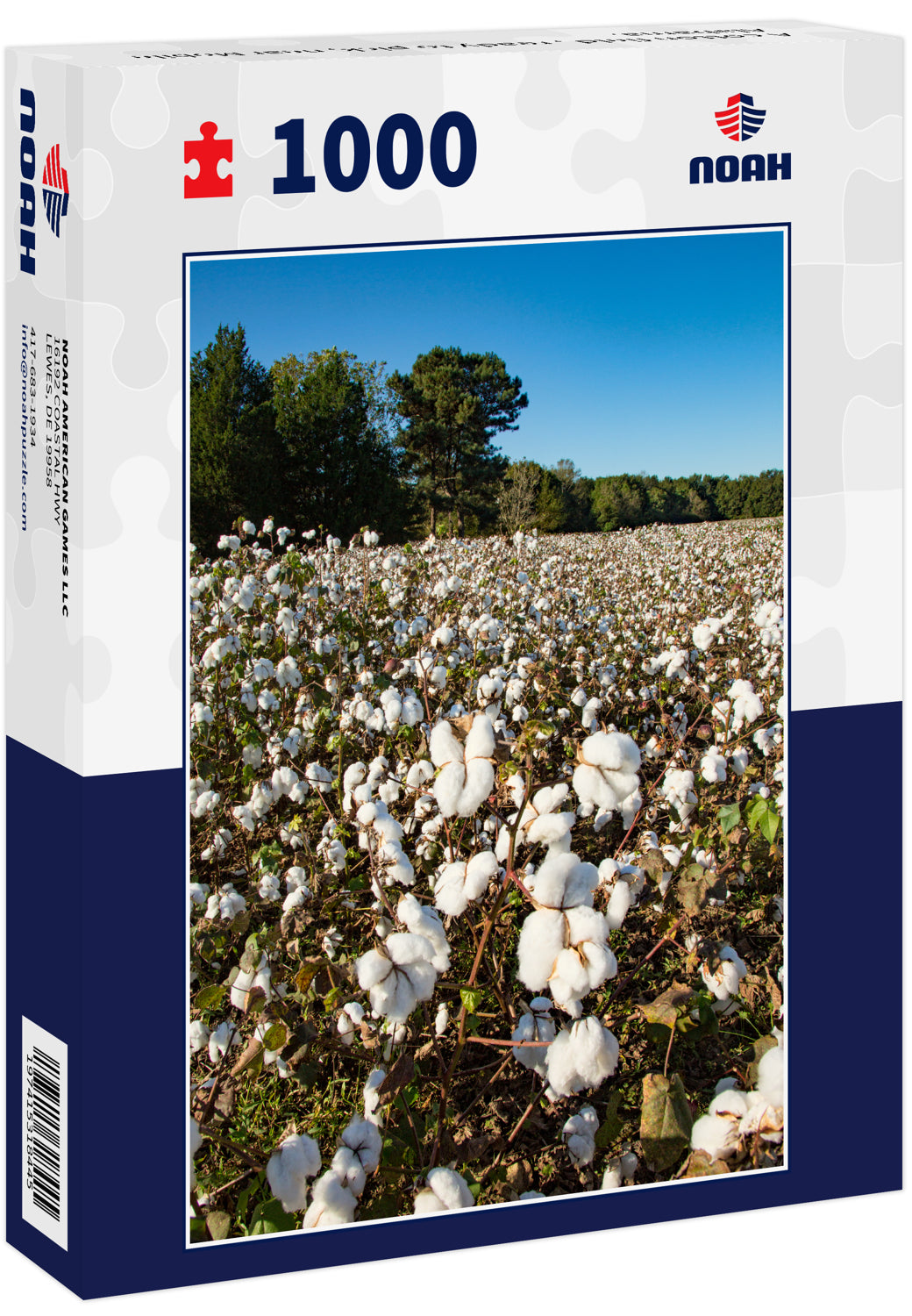 A cotton field , ready to pick, near Mobile Alabama.