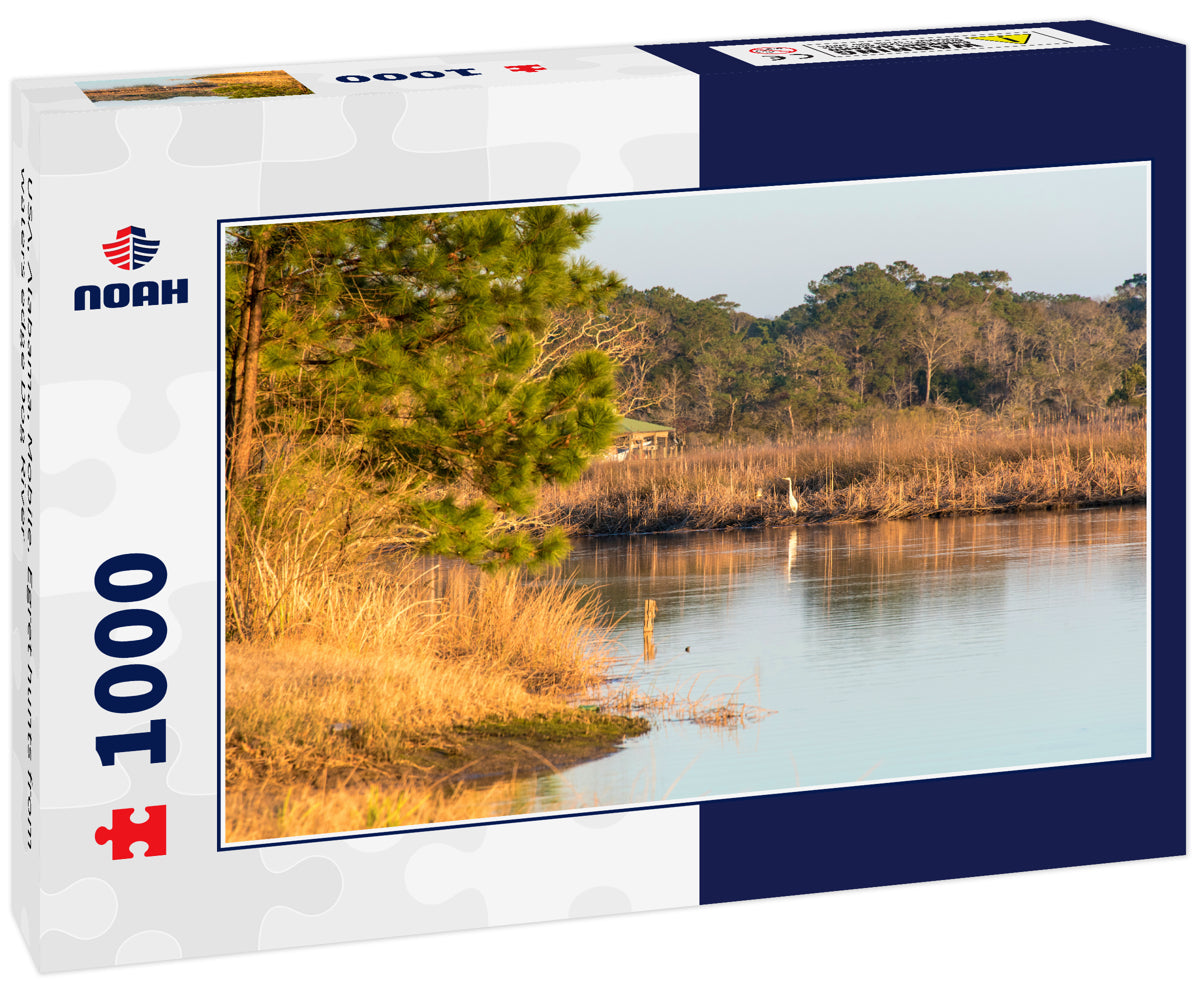 USA, Alabama, Mobile. Egret hunts from waters edge Dog River