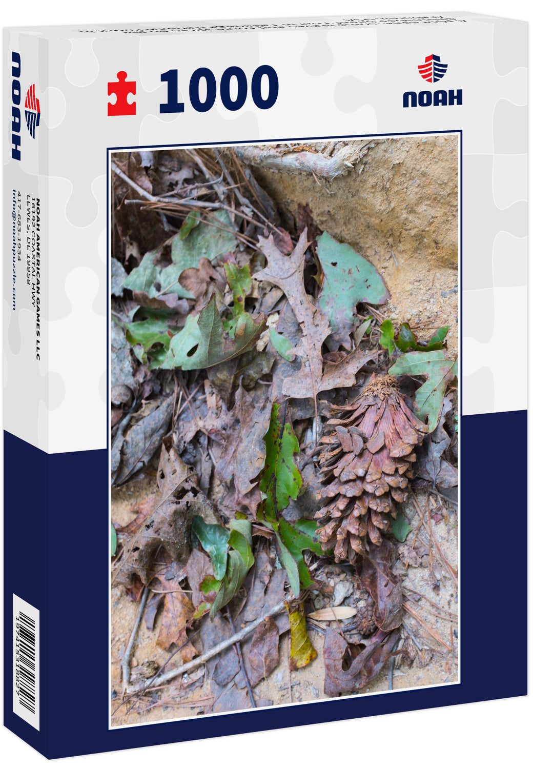 A pine cone, some leaves and some sticks on the Chinnabee Silent Trail in Talladega National Forest in Alabama, USA