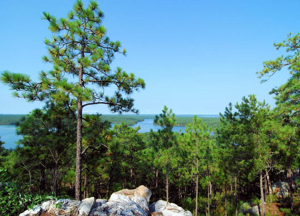 Cherokee Ridge / Views from Smith Mountain near Dadeville, Alabama