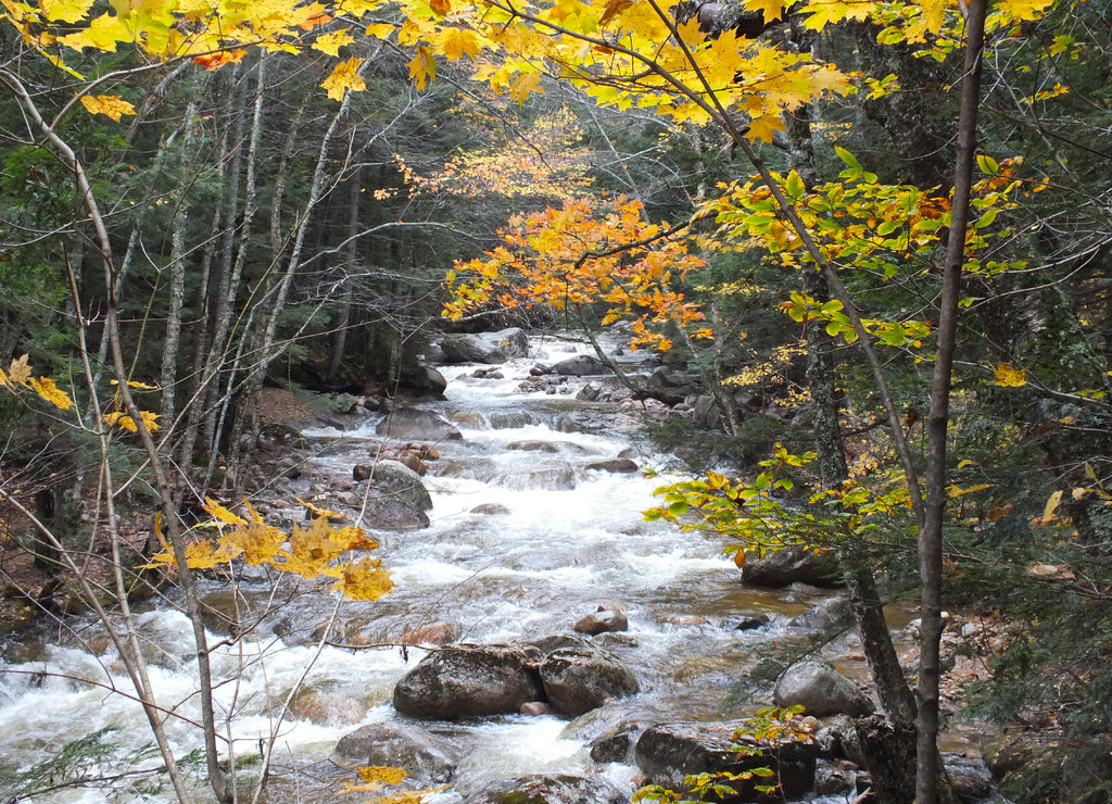 Mountain Creek White Mountains New Hampshire