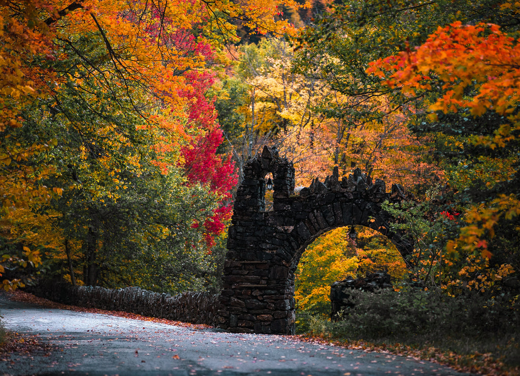 Fall Foliage in New Hampshire