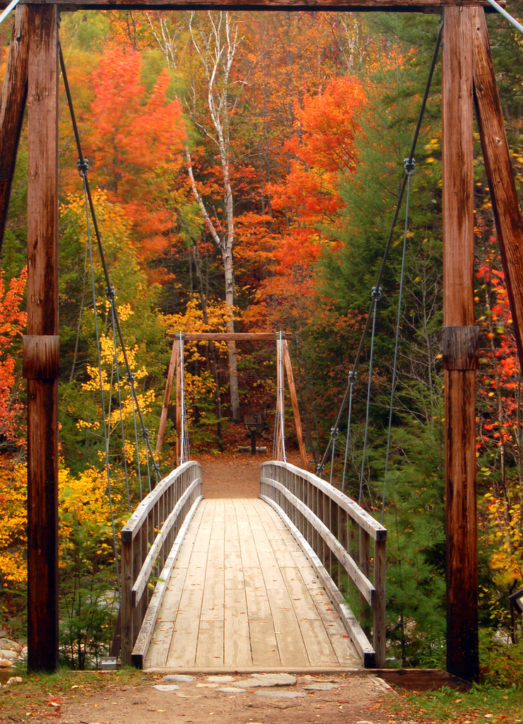 A wooden pedestrian footbridge leads to autumn colors in the White Mountains of New Hampshire