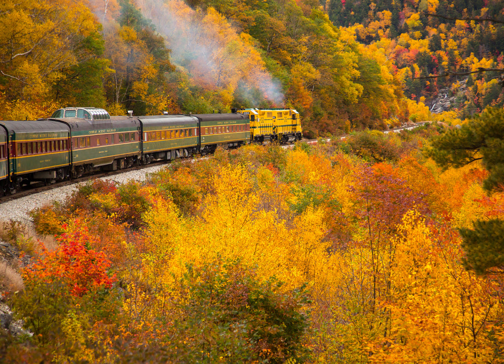The Conway Scenic Railway train on the Crawford Notch route, just west of Bartlett, New Hampshire. Hardwood trees are showing peak fall color in the White Mountain National Forest