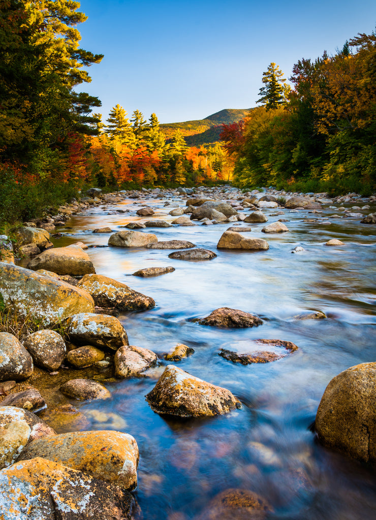 Autumn color along the Swift River, along the Kancamagus Highway, New Hampshire