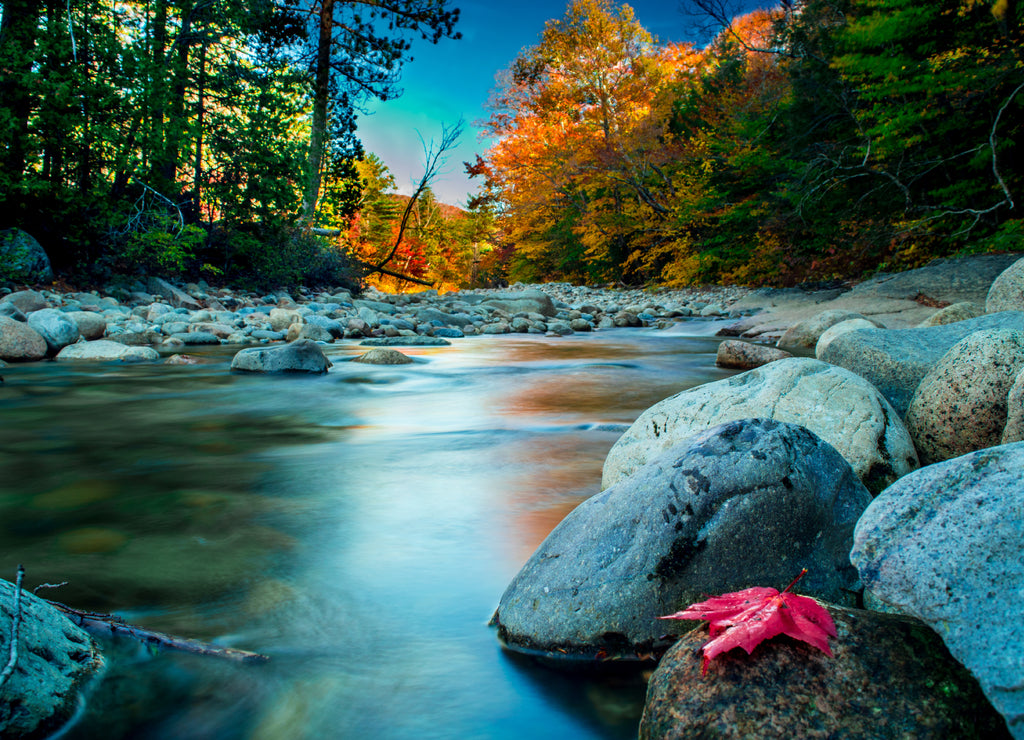 New Hampshire During Autumn - Pemigewasset River