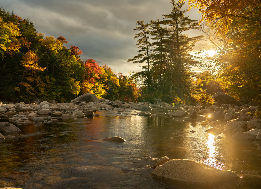 The sun light is soften by trees in fall colors and reflected in the river water narrow, East fork Pemigewasset River, White Mountain NF, New Hampshire