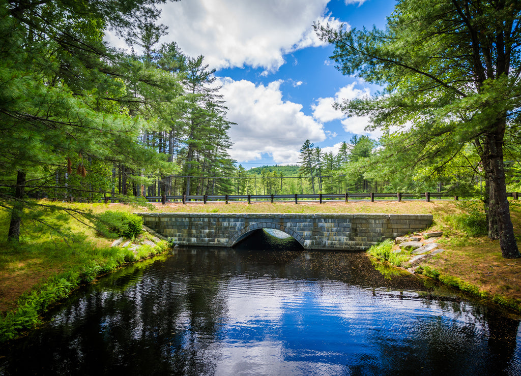 Bridge over a pond at Bear Brook State Park, New Hampshire