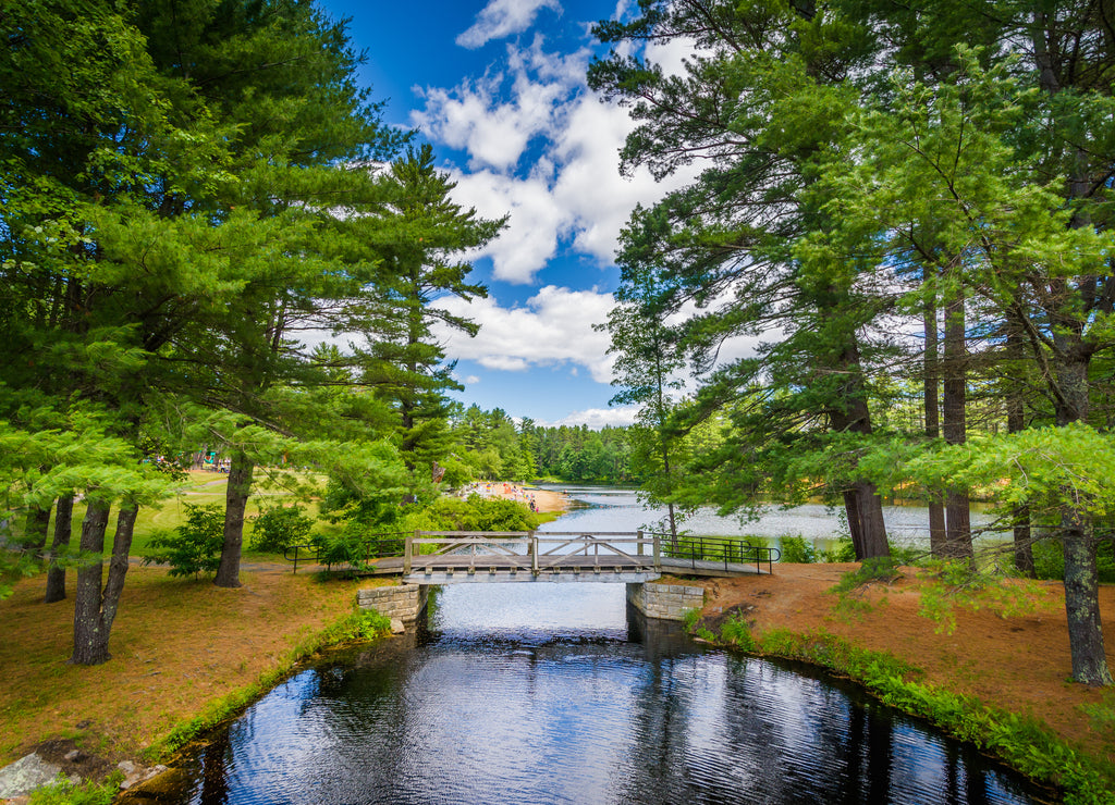 Bridge and pine trees at Bear Brook State Park, New Hampshire