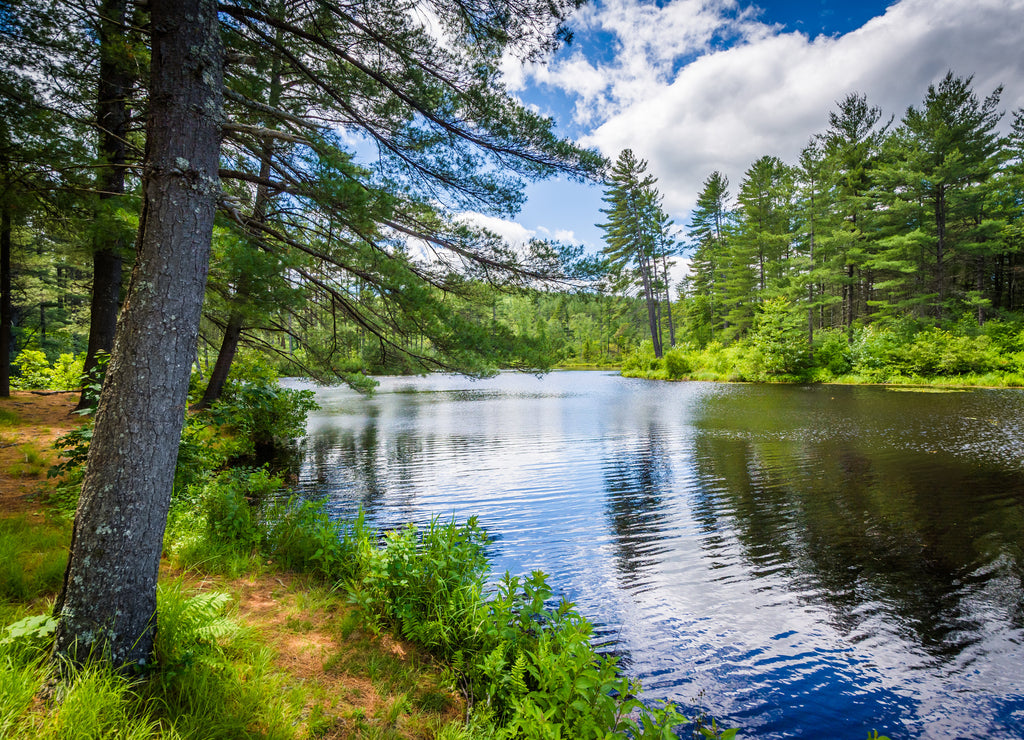 Lake at Bear Brook State Park, New Hampshire