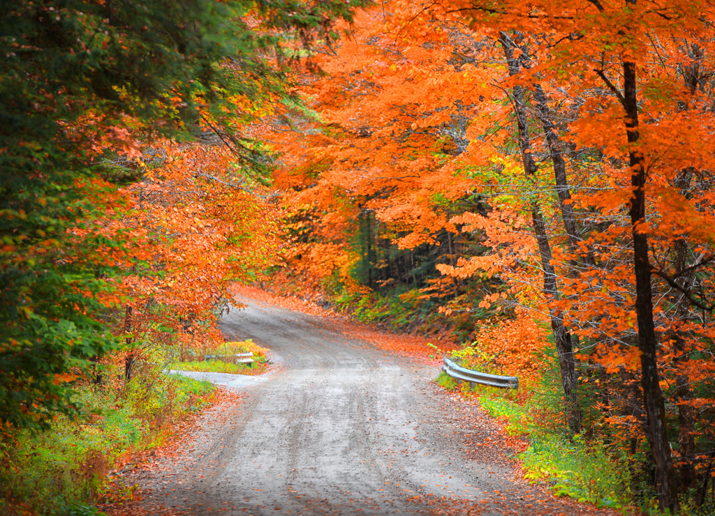 Autumn drive in rural New Hampshire