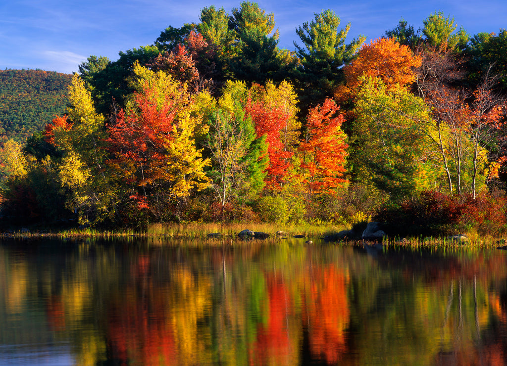USA, New Hampshire, Moultonborough. Trees in autumn color reflecting in Lake Kanasatka
