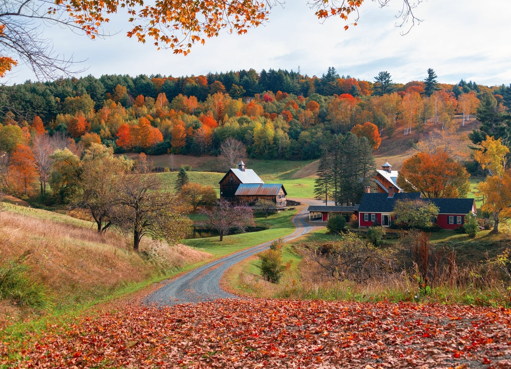 Beautiful Fall colors farm house, New Hampshire