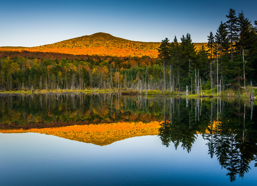 Mount Deception reflecting in a pond in White Mountain National Forest, New Hampshire