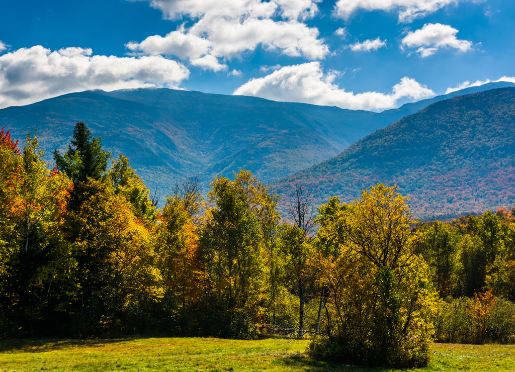 Early autumn color in the White Mountain National Forest, New Hampshire