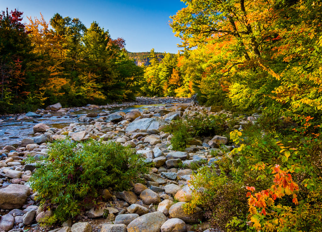 Autumn color along the Swift River, in White Mountain National Forest, New Hampshire