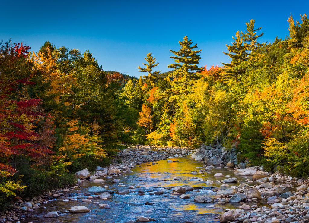 The Swift River, in White Mountain National Forest, New Hampshire