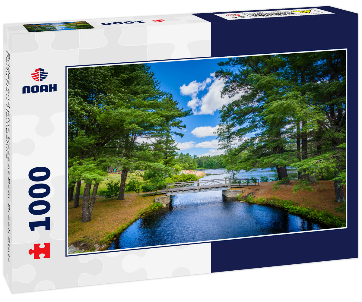 Bridge and pine trees at Bear Brook State Park, New Hampshire