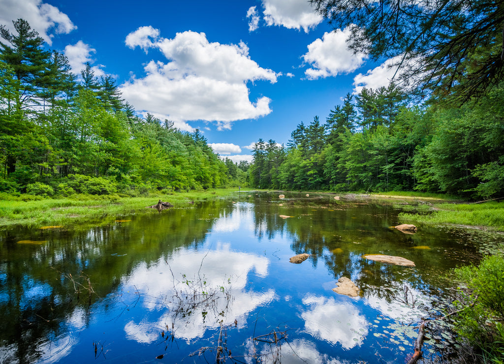 Small pond at Bear Brook State Park, New Hampshire