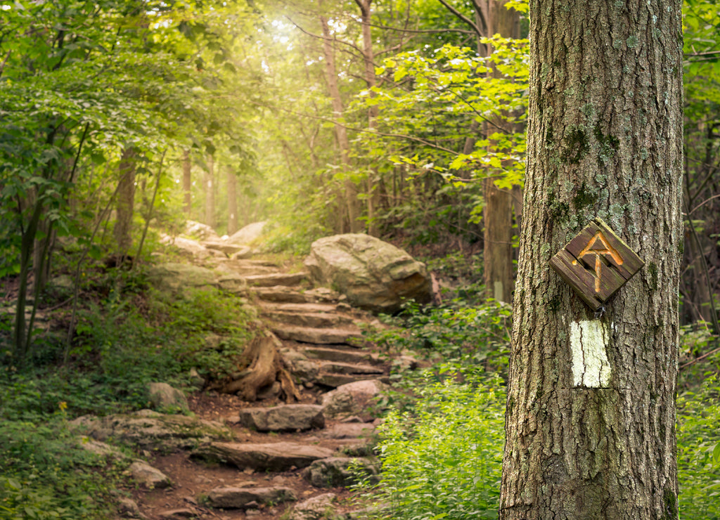 Rock steps along the Appalachian Trail in Stokes State Forest New Jersey