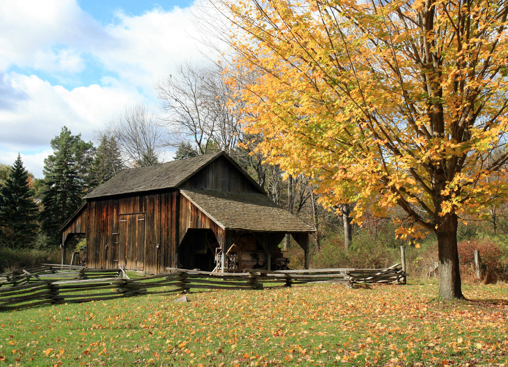 Historic Millbrook Village, New Jersey