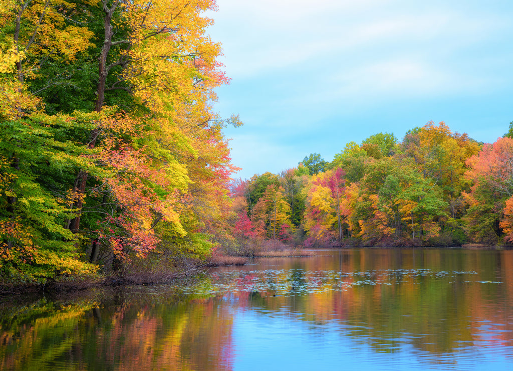 Davidsons Mill Pond fall foliage in New Jersey