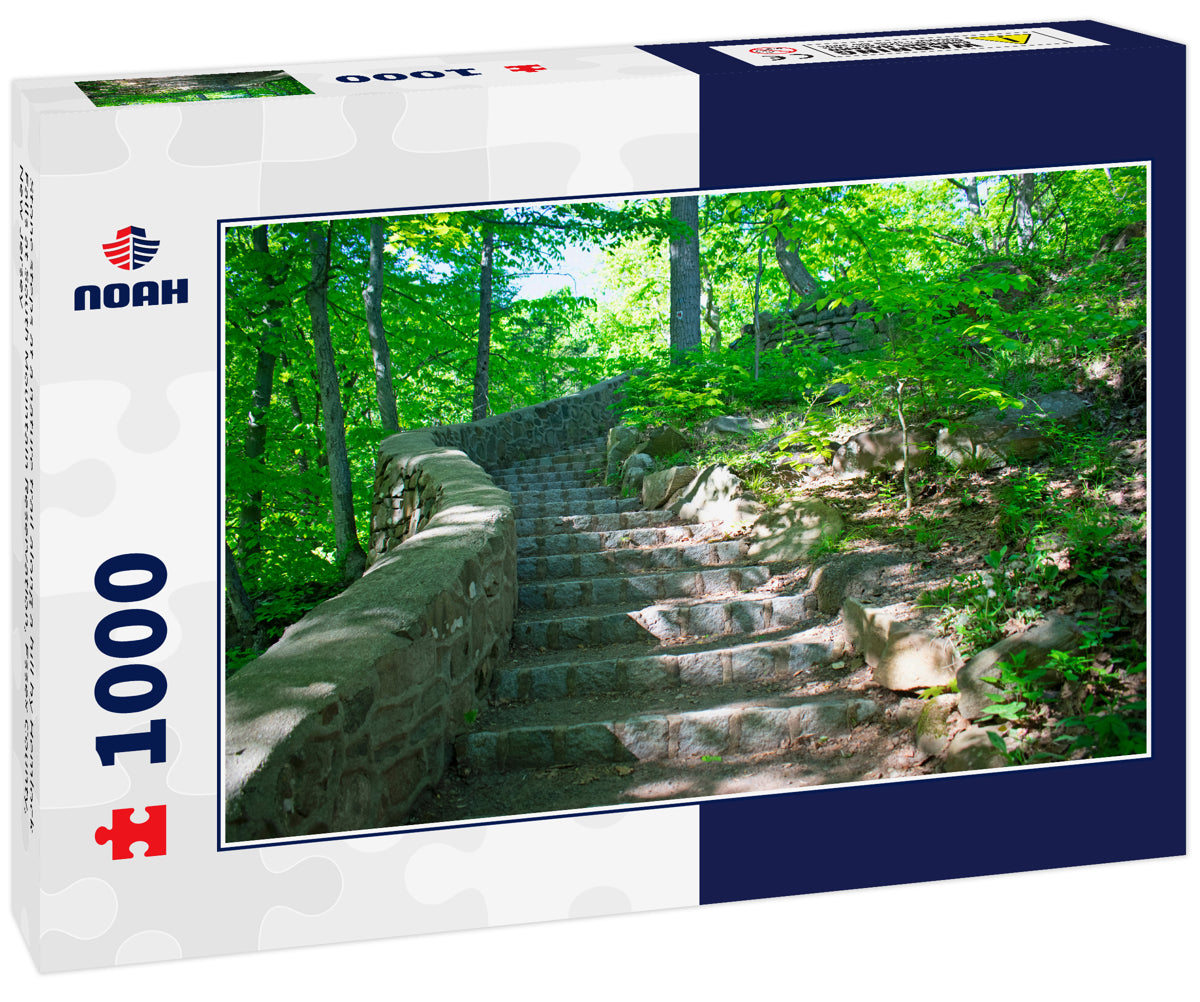 Stone steps at a nature trail along a hill by Hemlock Falls at South Mountain Reservation, Essex County, New Jersey