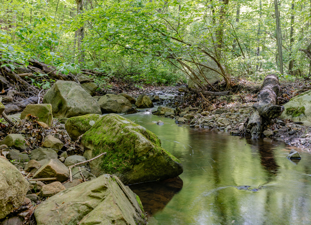 The Hemlock Falls experience in New Jersey