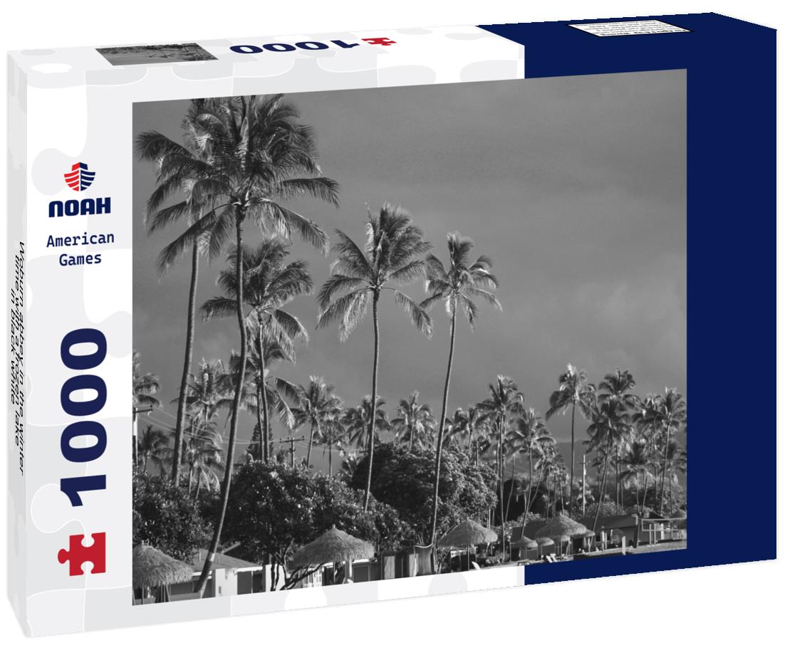 Noah Jigsaw Puzzle Woburn abbey in the winter time with a frozen lake in black white 1000 pieces