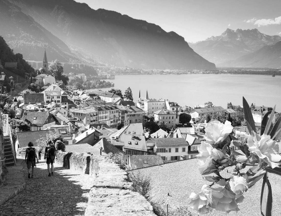 Noah Jigsaw Puzzle Incredible beginning of spring on Gravina in Puglia. Wonderful morning landscape of Puglia, Italy in black white 1000 pieces