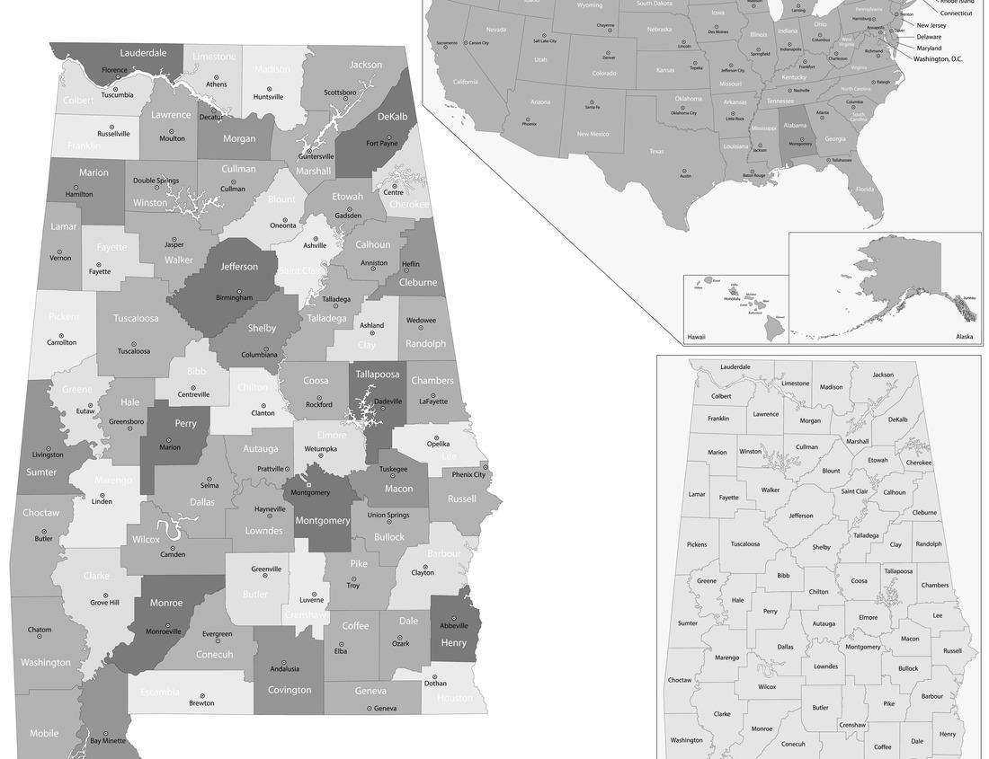 Noah Jigsaw Puzzle Deltona, Florida green spring in black white 1000 pieces