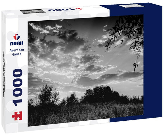 Noah Jigsaw Puzzle Trulli in Alberobello, Apulia, Italy in black white 1000 pieces