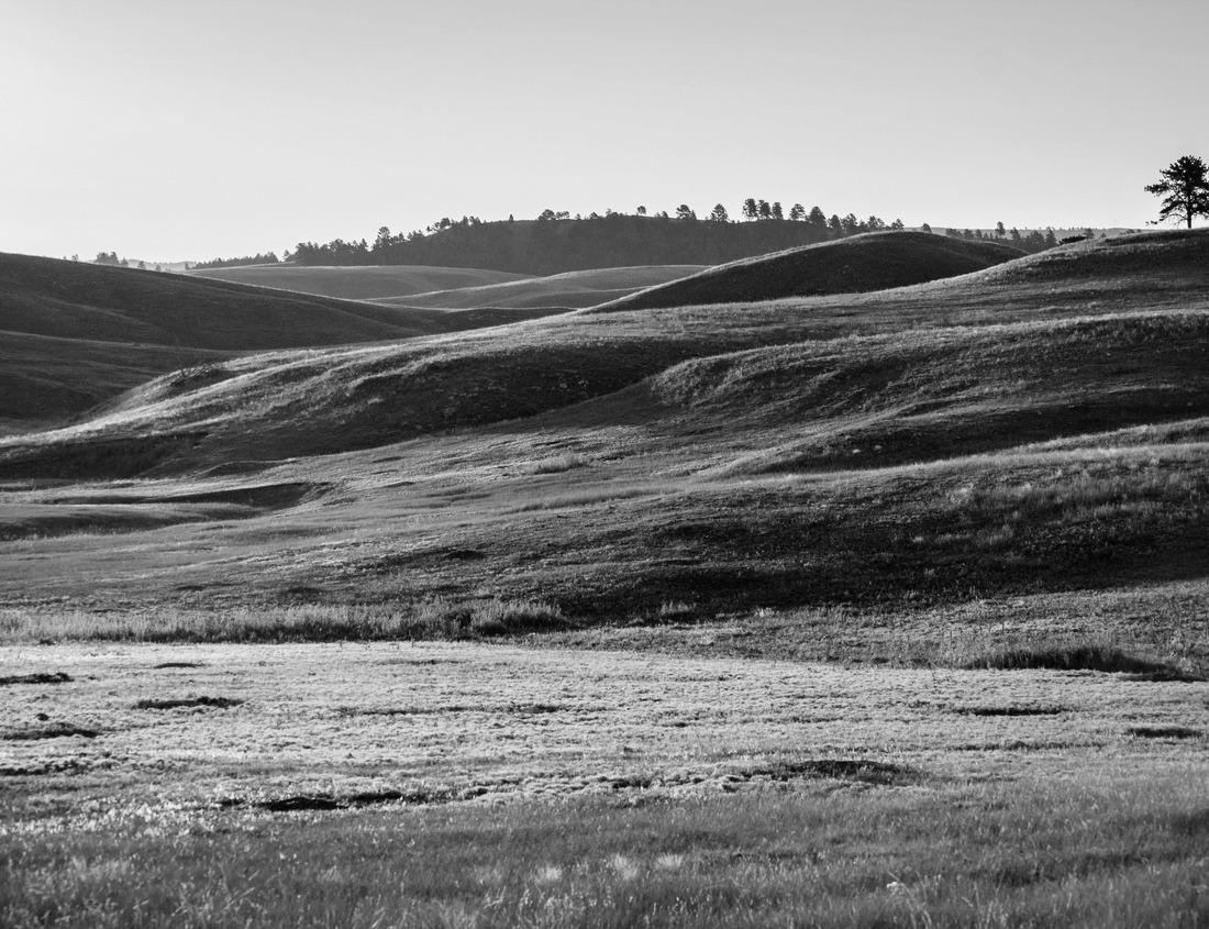 Noah Jigsaw Puzzle elephants at the nile in Uganda in black white 1000 pieces