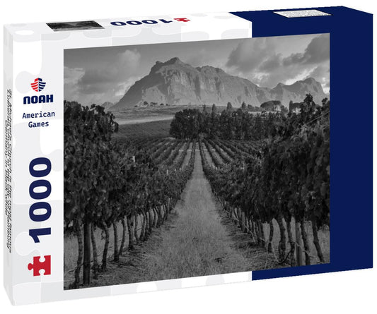 Noah Jigsaw Puzzle St. Michael's Church is the most famous Lutheran church in the city of Hamburg, Germany in black white 1000 pieces